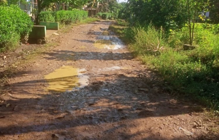 Warga Desa Cisereheun Cigeulis Mengeluhkan, Puluhan Tahun Jalan Poros Kabupaten Rusak Parah Tak Kunjung Dibangun,