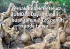 Realisasi Dana BUMDes Daya Mandiri Labuan Tahun 2025 Diduga Di Mark Up, DPC Amira Kana Layangkan Lapdu & Aksi Unras