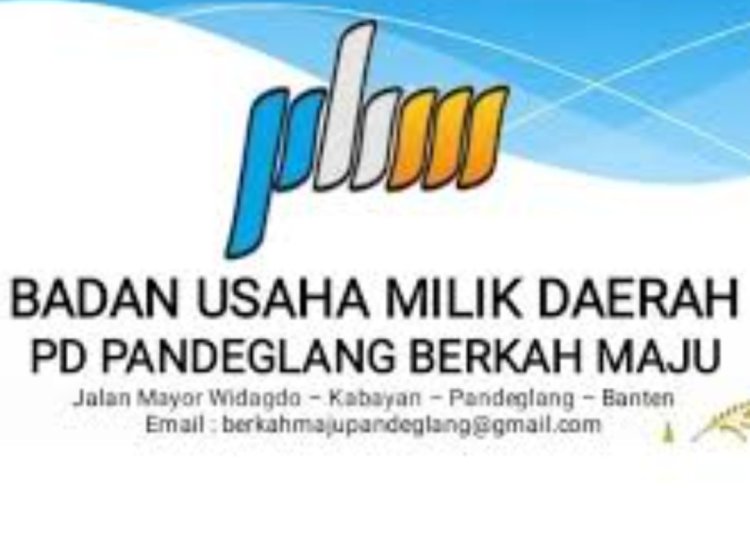 Salahi Aturan Direktur BUMD PBM Rangkap Kabid Persampahan DLH Pandeglang, DPC AMIRA Akan Lakukan Aksi Unras
